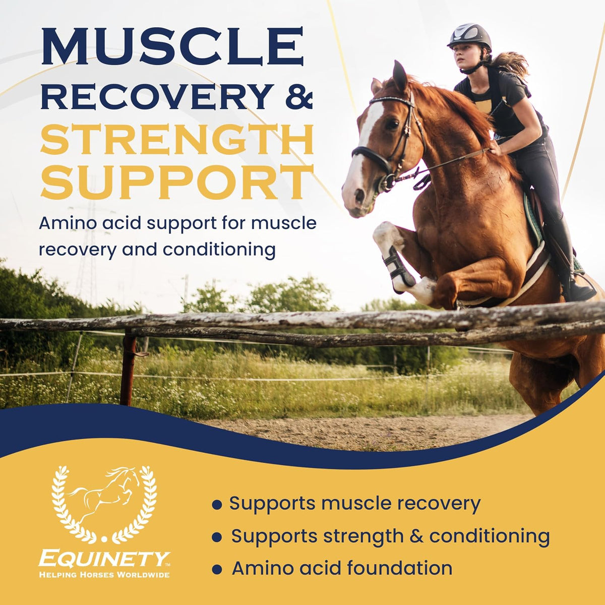 100-Day Supply Equinety Horse XL Powder Horse Supplement with Amino Acids