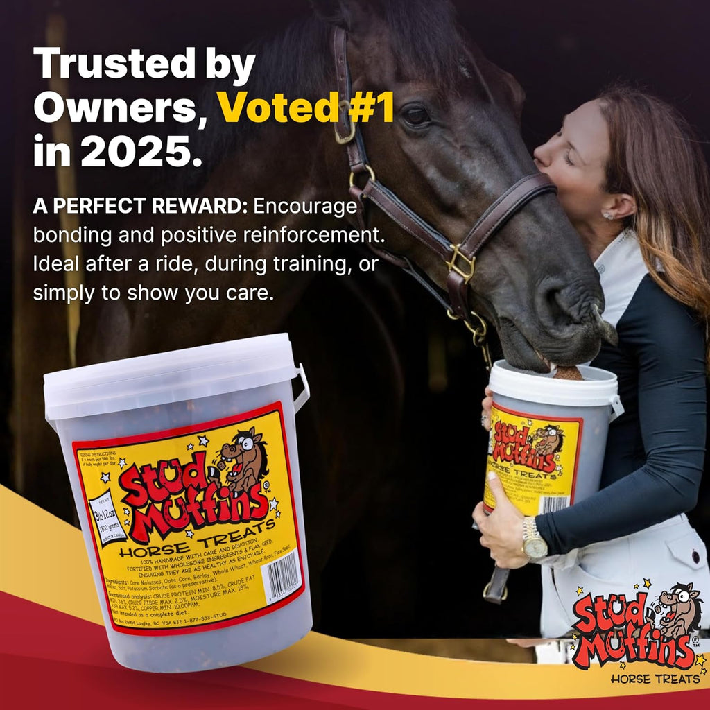 1060/1050 Stud Muffins Horse Treat, 60 Oz