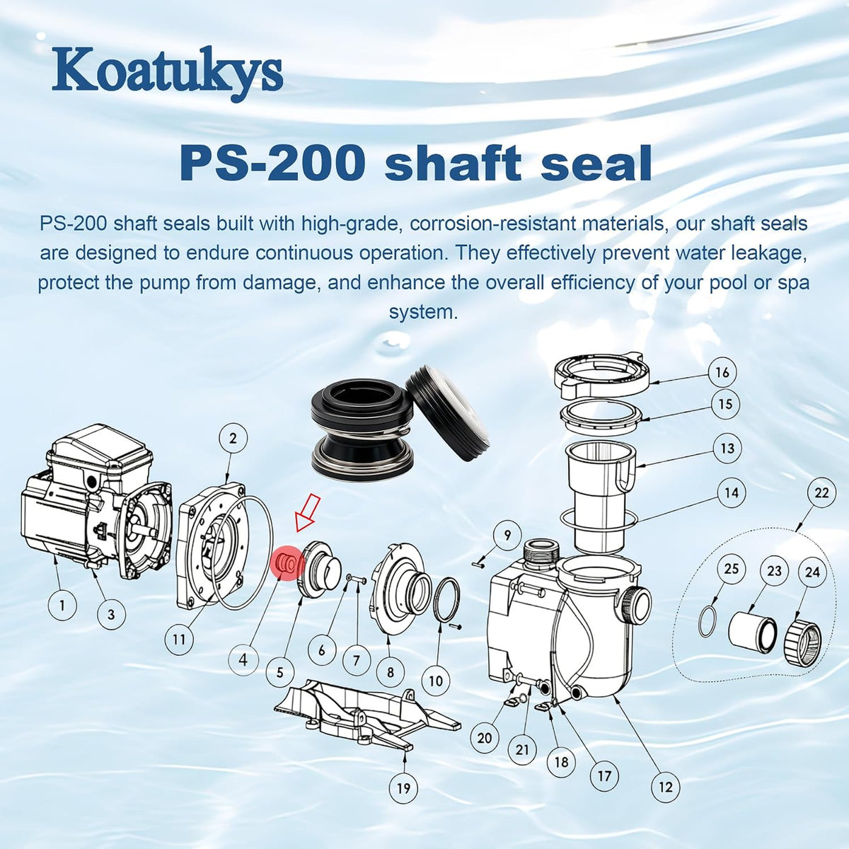 354545 PS-200 5/8" Shaft Seal Replacement