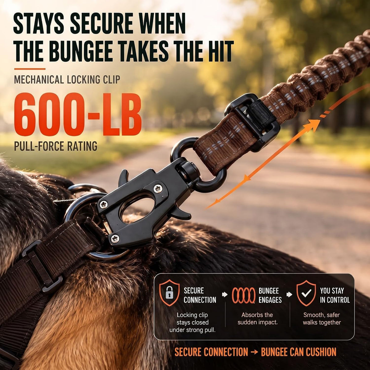 Bungee Dog Leash for Large Dogs: Protect Arm from Sudden Lunges on Walking