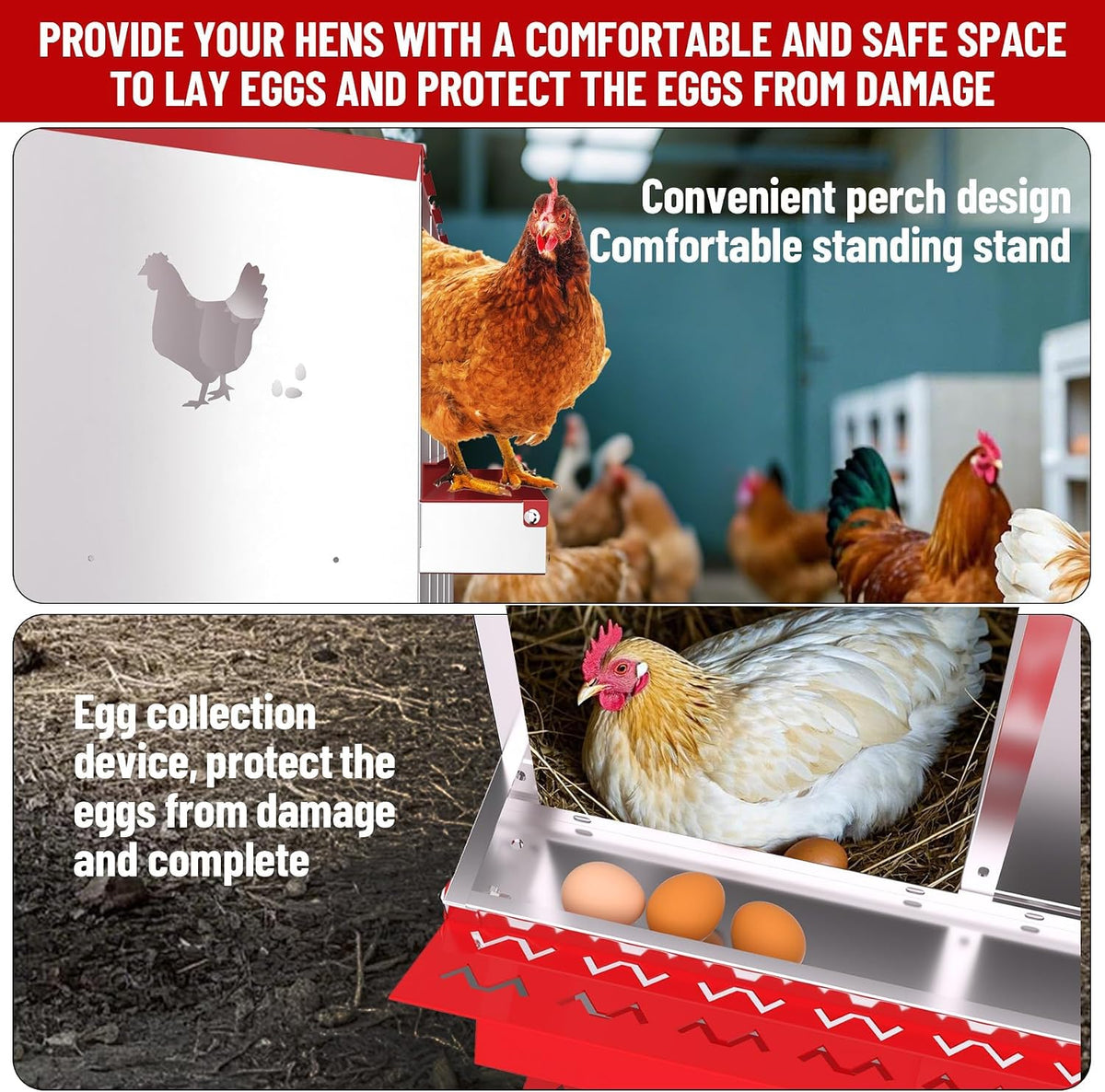 10 Compartment Chicken Nesting Box, Nesting Boxes for Chickens, Metal Chicken Laying Boxes with Perch, Secure Lid