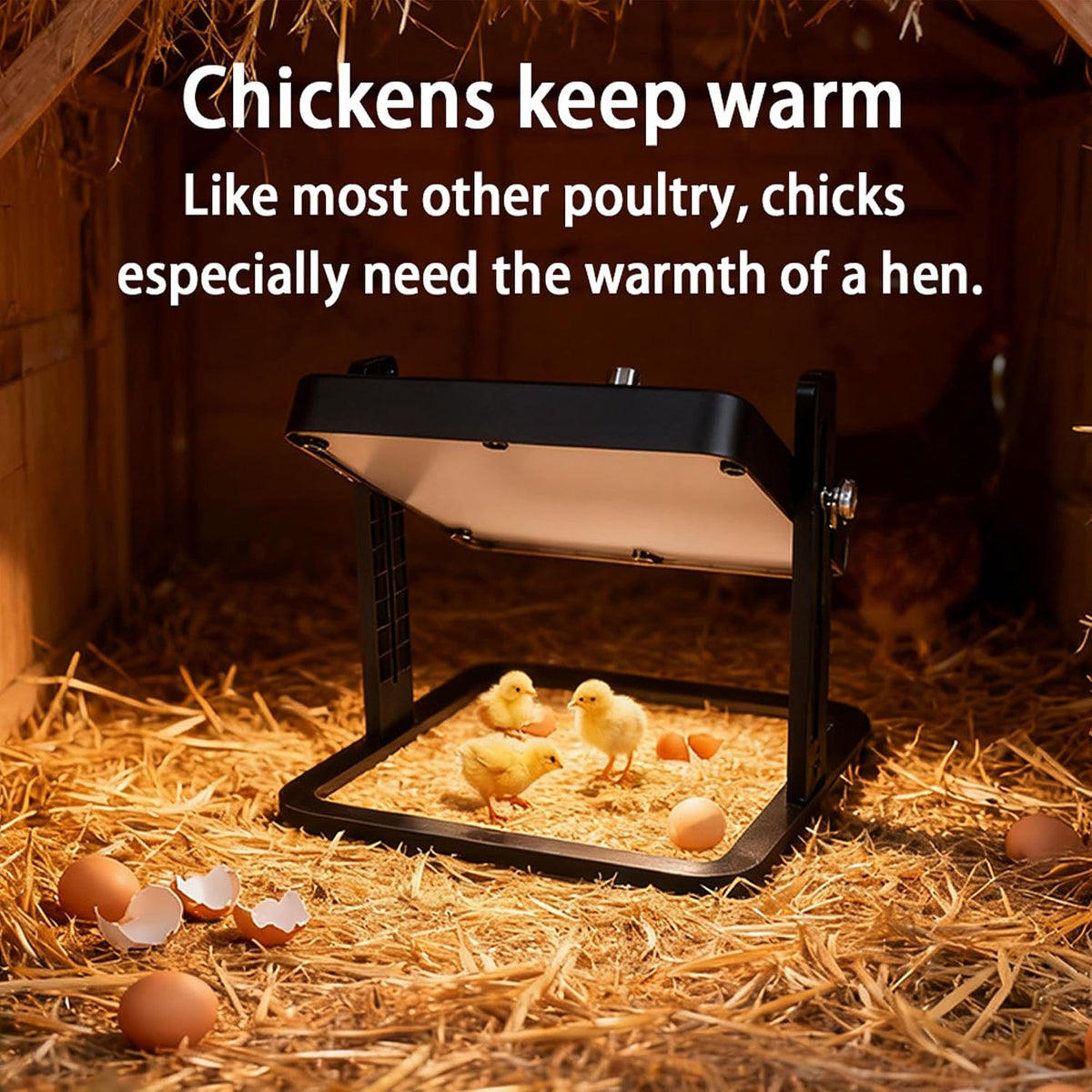 Brooder Heater for Chicks – 10.8" Radiant Heat Plate with Adjustable Height & Angle, Thermostat Control (113–158 ℉)