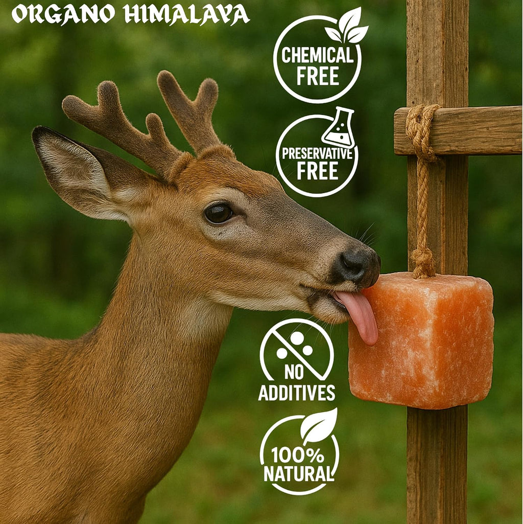 Himalayan Salt Lick On Rope 3.5-4 lb Each (Pack of 3) for Horses, Deer, Goats & Livestock | Natural, Mineral-Rich