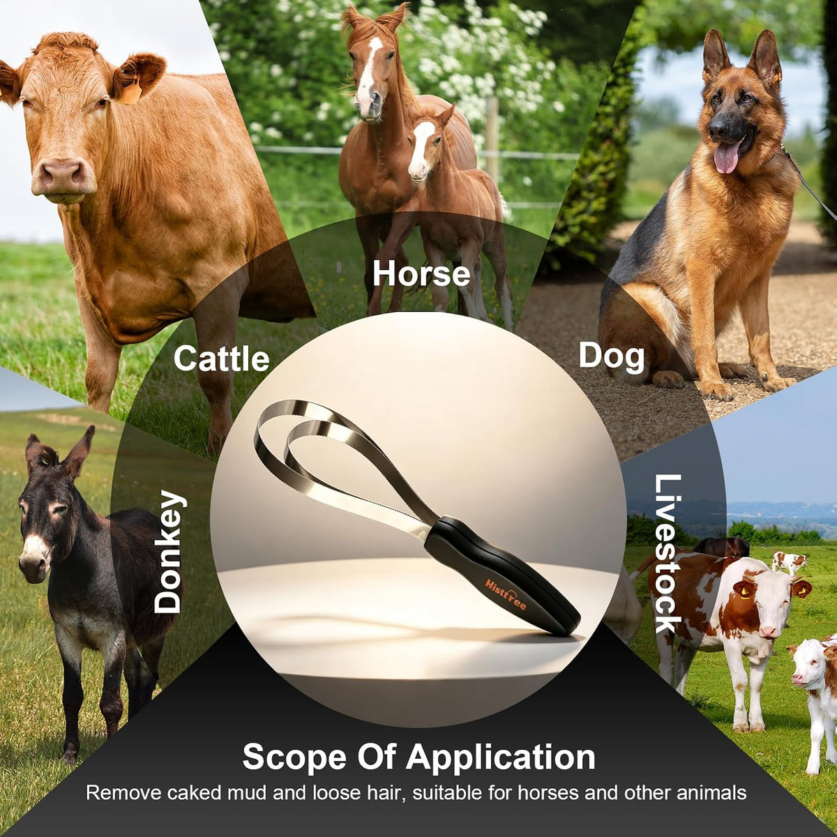 Double-Layer Metal Shedding Blade for Horses Solid Wood Handle