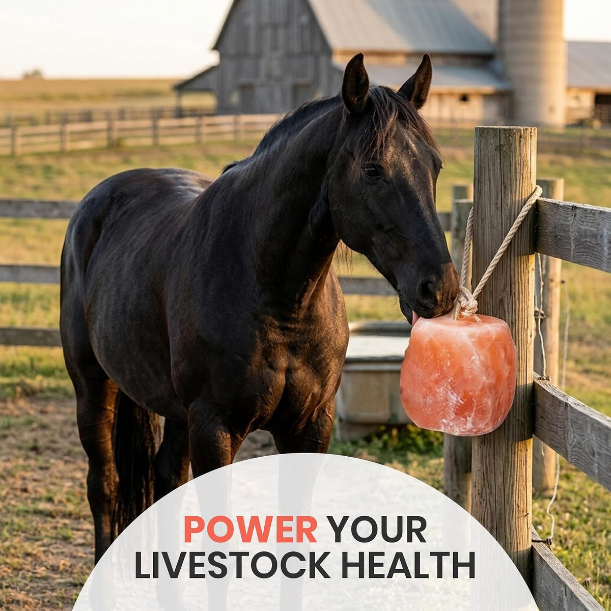 Himalayan Salt Block for Horses with Rope Natural Horse Salt Lick for Hydration and Mineral Support