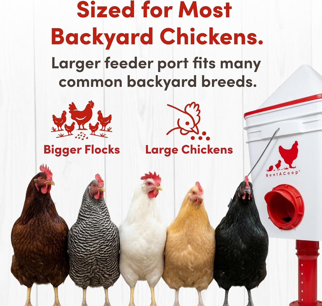 25lb Chicken Feeder with 4 Large Ports - Center Placement