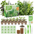 Herb Garden Starter Kit – Fruivity 12800+ 15 in 1 Herb Heirloom Seed Kits for Indoor/Outdoor Planting | Herb Indoor