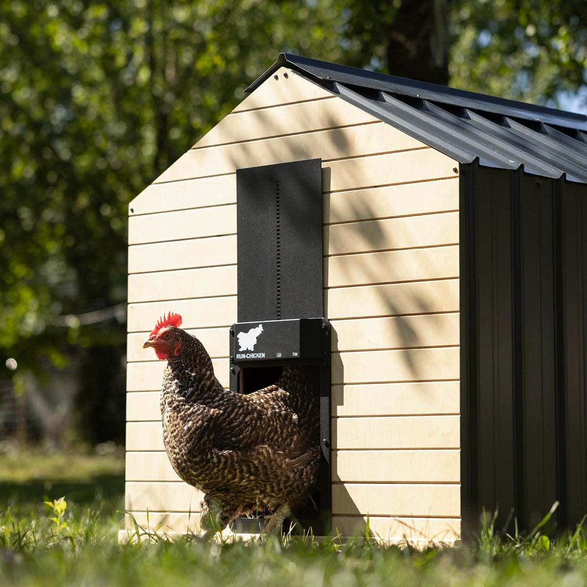 Door T50 – Automatic Chicken Coop Door Opener, Battery Powered & Weatherproof Aluminum, Smart App & Timer Control