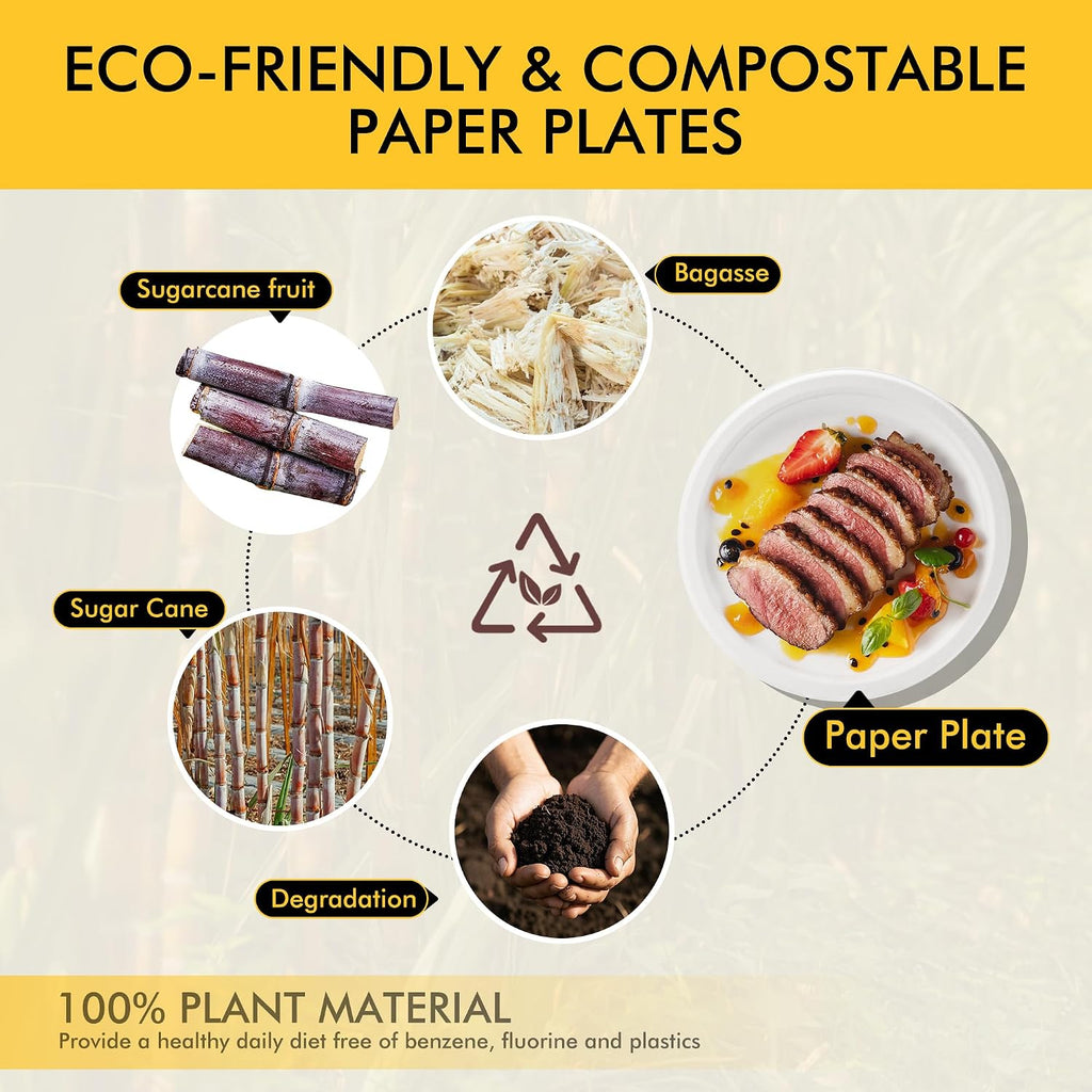 Compostable Paper Plates 9 Inch [125 Pack]