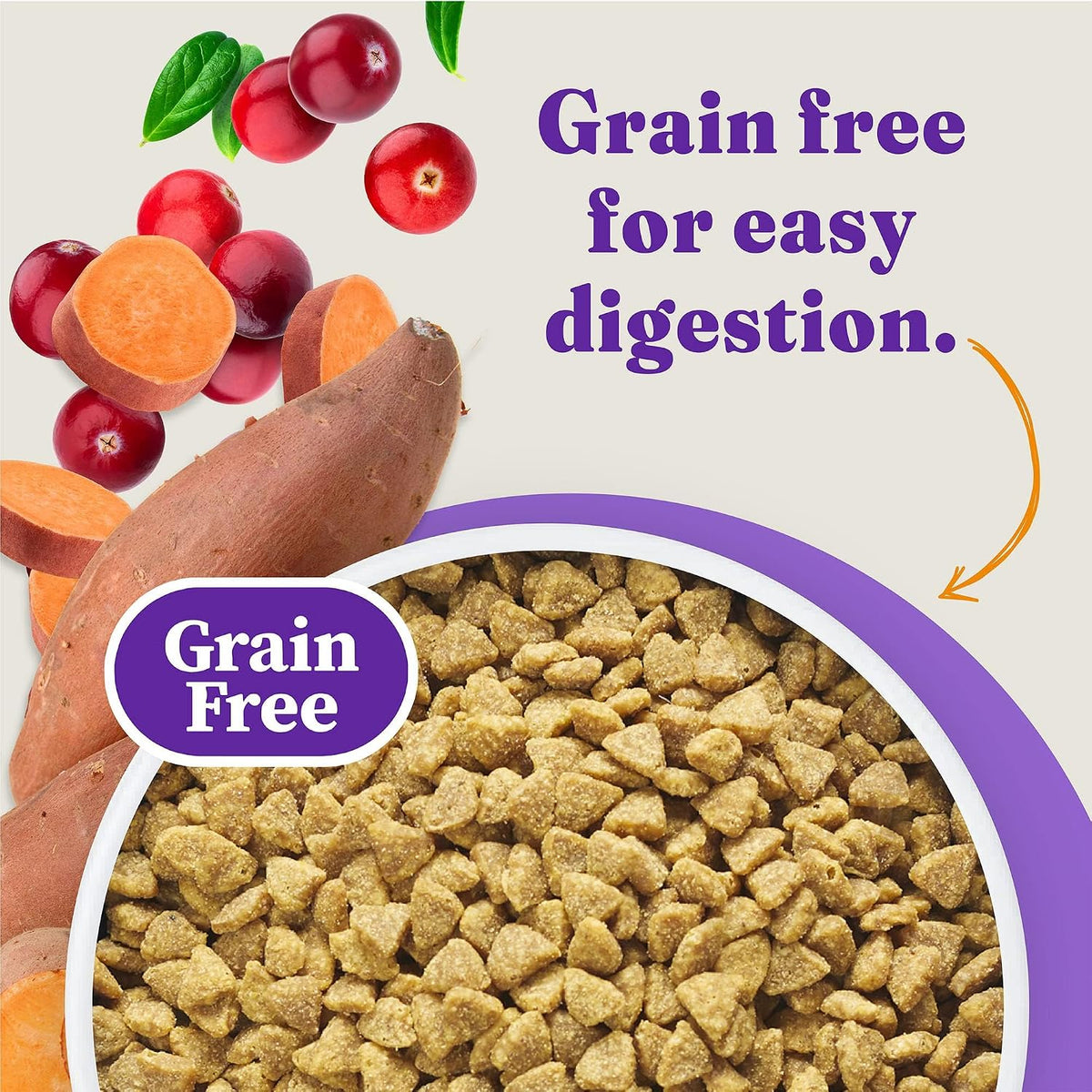 Holistic Indoor Dry Cat Food, Cage-Free Chicken Recipe, 3 lb