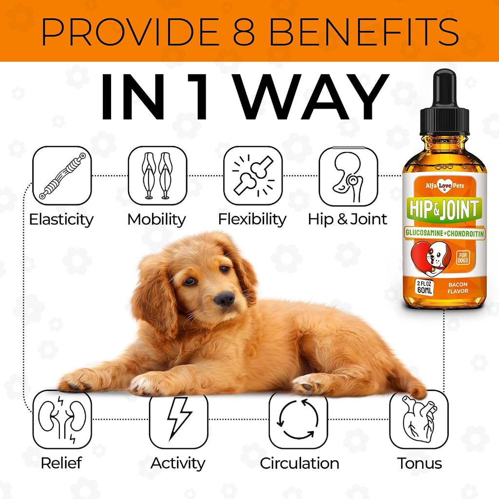 Glucosamine for Dogs + Chondroitinin in Liquid Form – Hip & Joint Supplement for Dogs to Care for Muscular System –