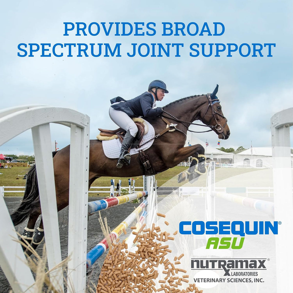 Nutramax Cosequin ASU Horse Joint Supplement + Glucosamine, Pellets, 1420g