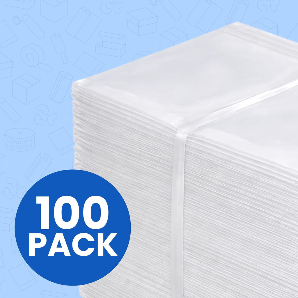 10" x 13", 2 Mil (Case of 100) Clear Plastic Reclosable Zipper Bags from The Boxery