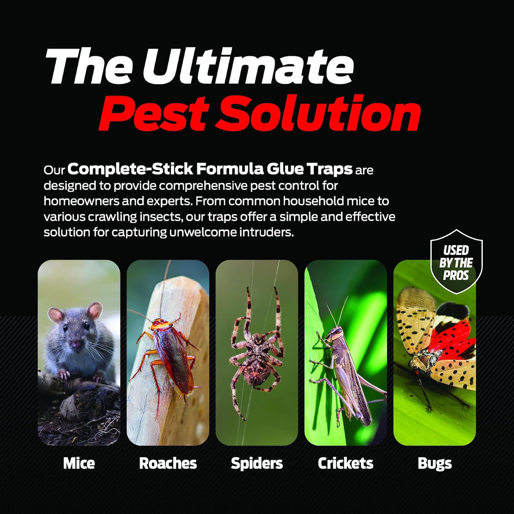 Glue Traps for Mice & Bugs – Safe Around Children & Pets – Strong Adhesive Glue for Bugs, Insects & Cockroaches –