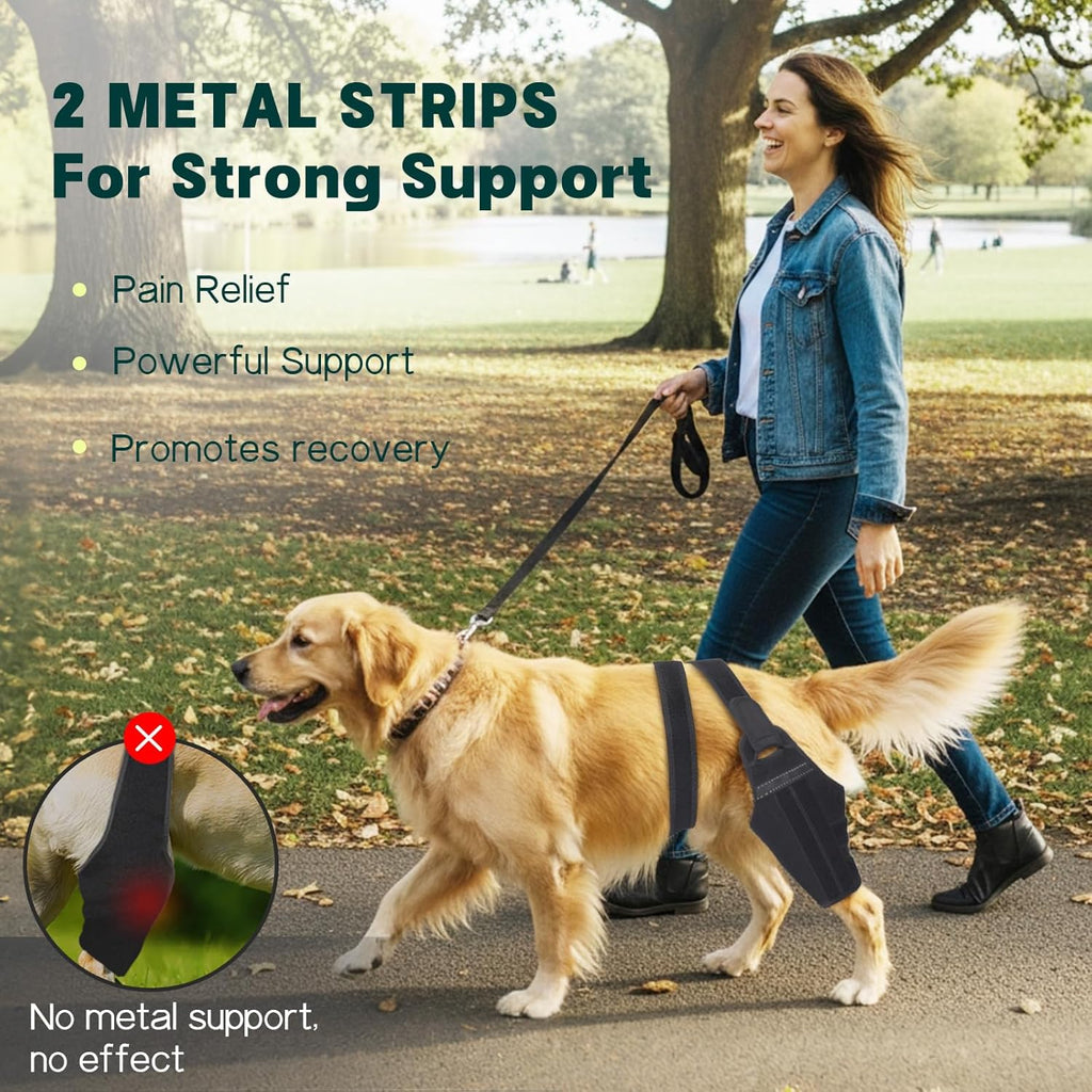 Dog Knee Brace for Torn ACL Hind Leg – Support Dog Leg Brace for Back Leg with 2 Stabilizers, Adjustable Hip Support