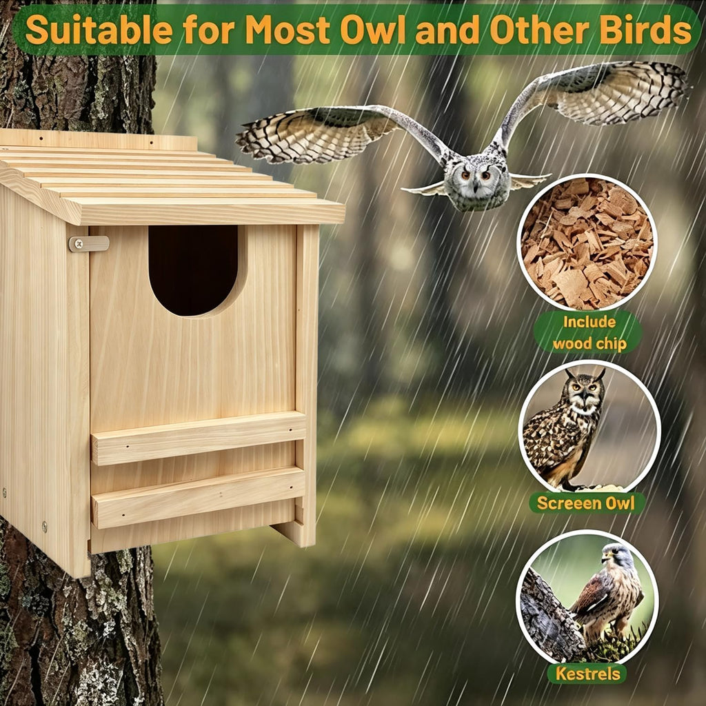 Owl Box, Pine Screech Owl Nesting Box, 14" x 9" x 9"
