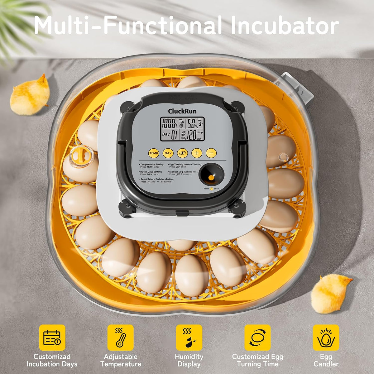 25 Egg Incubators for Hatching Eggs, Auto Turning, Temp & Humidity Control