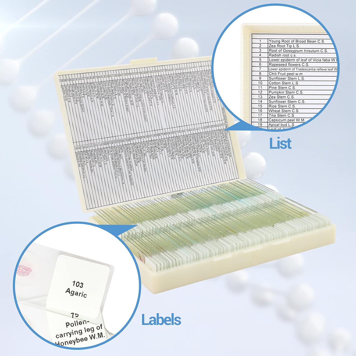 120 Microscope Slides with Specimens for Kids: Prepared Slides for Science | Prepared Microscope Glass Slides Kit for