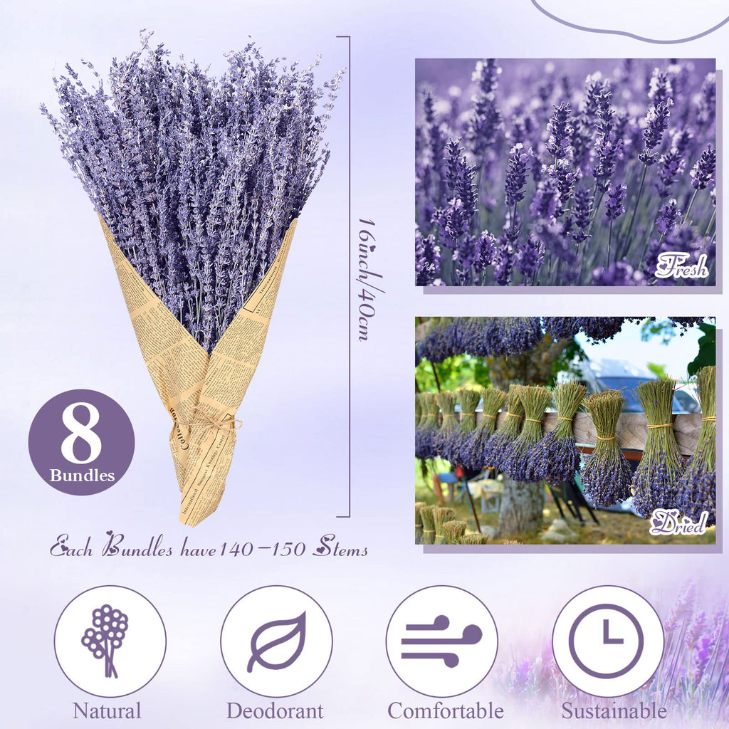 8 Bundles Dried Lavender 16 Inches for Home Wedding Party Decor