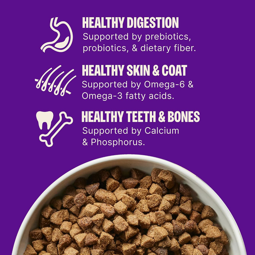 Complete Health Sensitive Skin and Stomach Dry Dog Food, Wholesome Grain Kibble, Natural, Chicken Free, Salmon and