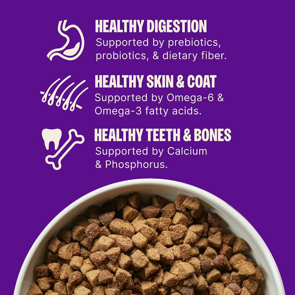 Complete Health Sensitive Skin and Stomach Dry Dog Food, Wholesome Grain Kibble, Natural, Chicken Free, Salmon and