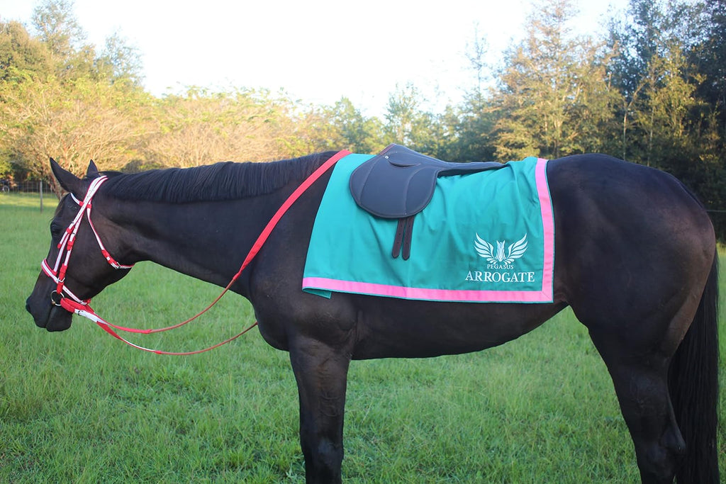 Custom Saddle Towel with Trim, Embroidered Saddle Pad for Horses