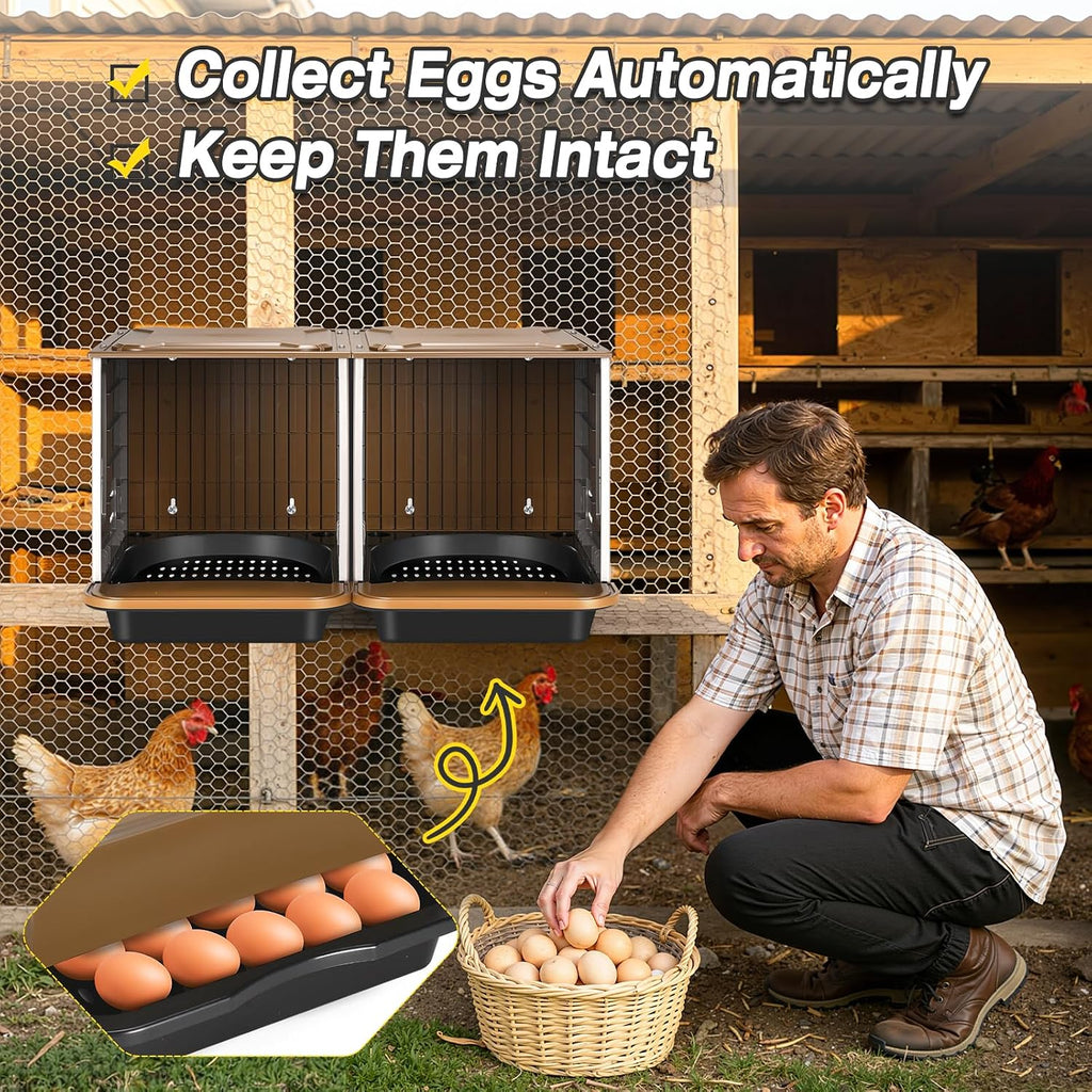 Chicken Nesting Box, 2 Compartment Nesting Boxes for Chickens, Large Chicken Laying Boxes for Egg Collection & Hen on