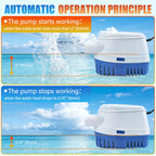 1200GPH Automatic Boat Bilge Pumping Kit 12V