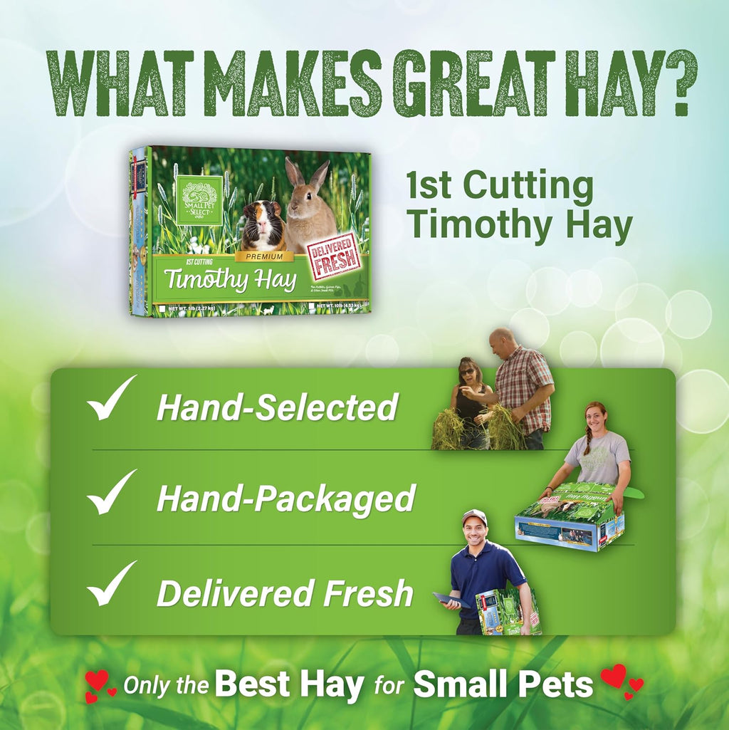1st Cutting Timothy Hay for Rabbits & Guinea Pigs, 2 lb | High Fiber Natural Hay, Grown in USA, Long Coarse Strands