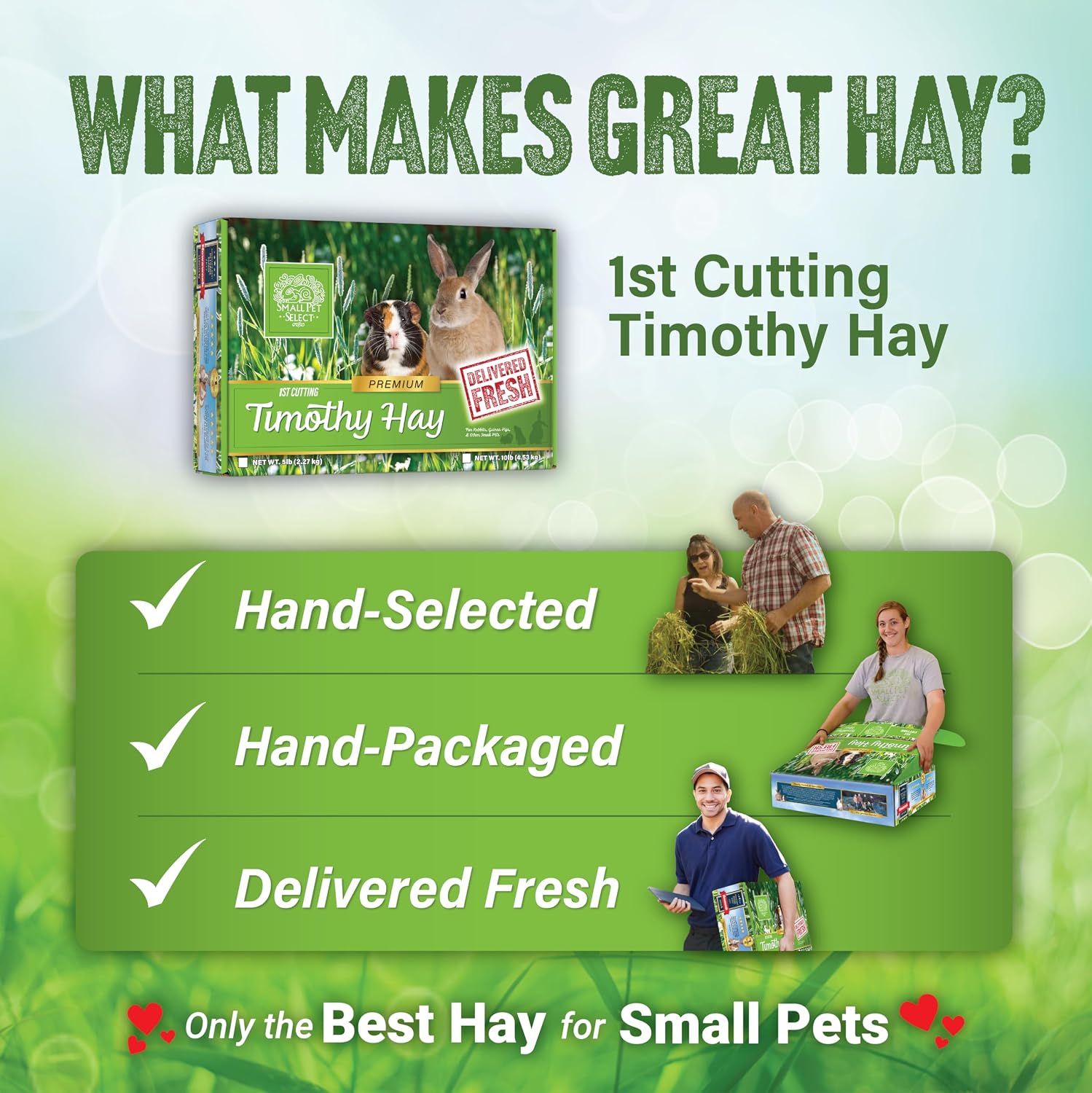 1st Cutting Timothy Hay for Rabbits & Guinea Pigs, 2 lb | High Fiber Natural Hay, Grown in USA, Long Coarse Strands