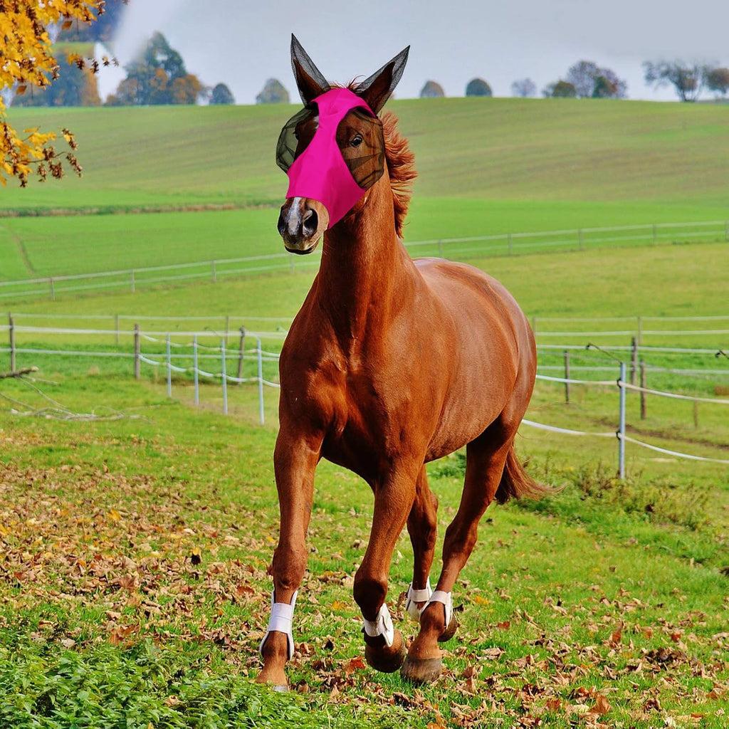 2 Pcs Mesh Horse Fly Mask with Ears, L, Purple, Pink