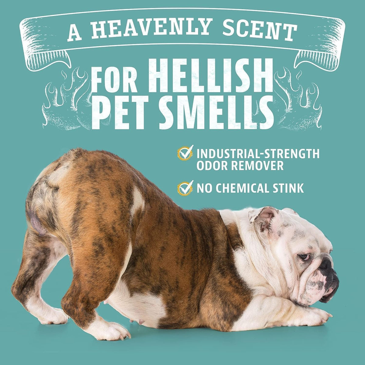 Pet Odor Eliminator for Dog and Cat Urine, Carpet Stains, and Strong Smells – Citrus Cleaner with Natural Orange Oil