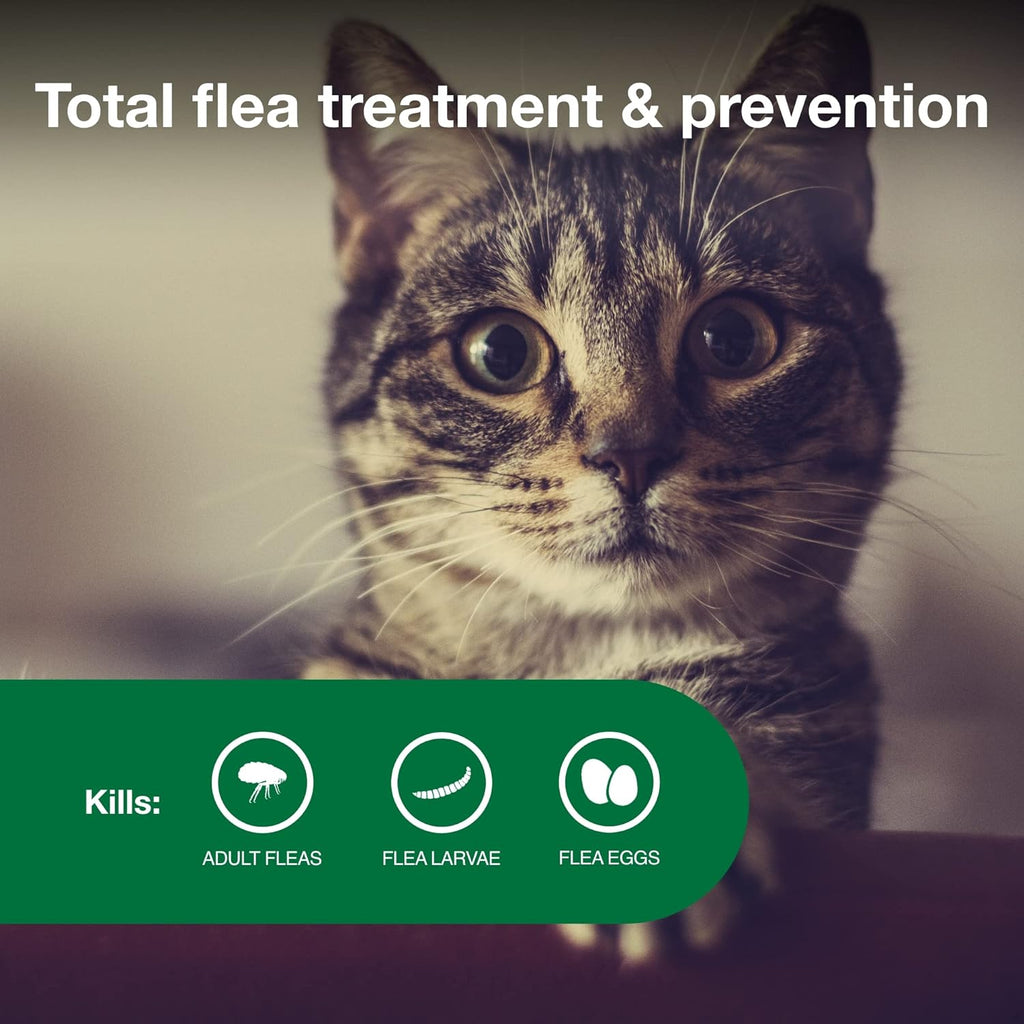 II Small Cat Topical Flea Treatment & Prevention, 2ct
