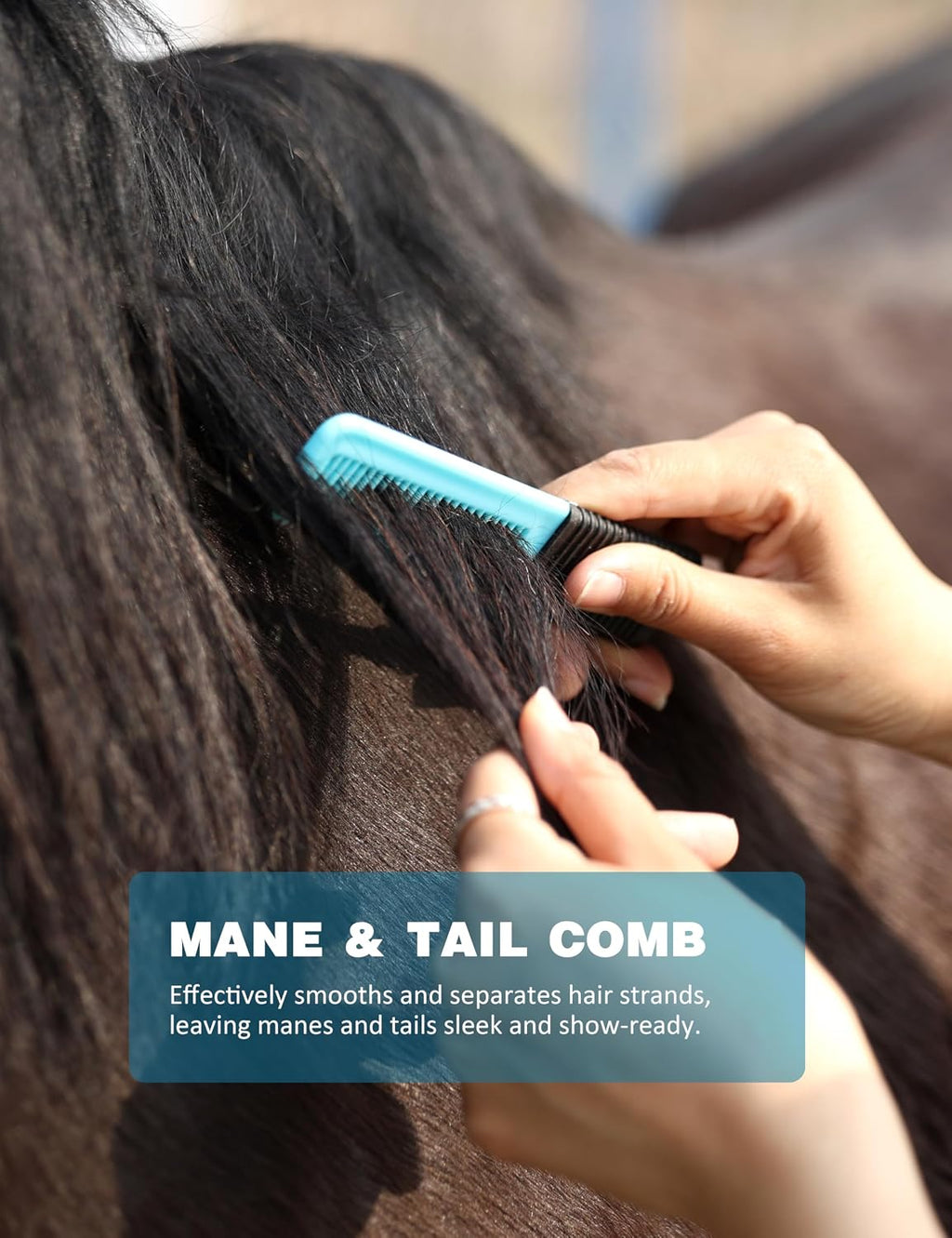 8-piece Horse Grooming Kit, Complete Horse Brush Set