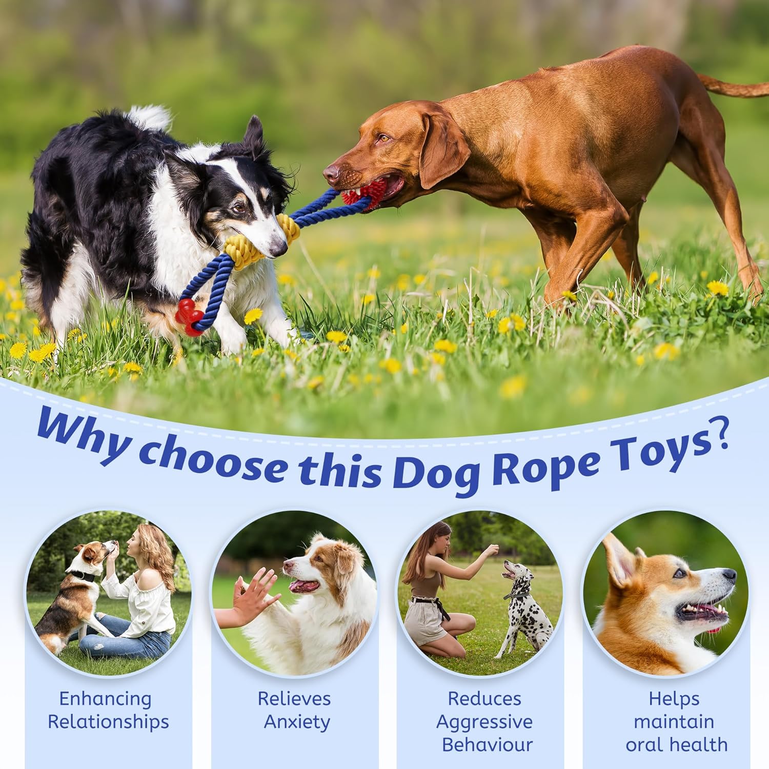 Interactive Dog Rope Toys Tug of War, Tough Dog Toys for Large, Medium & Small Dogs, 100% Cotton Chew Toys for