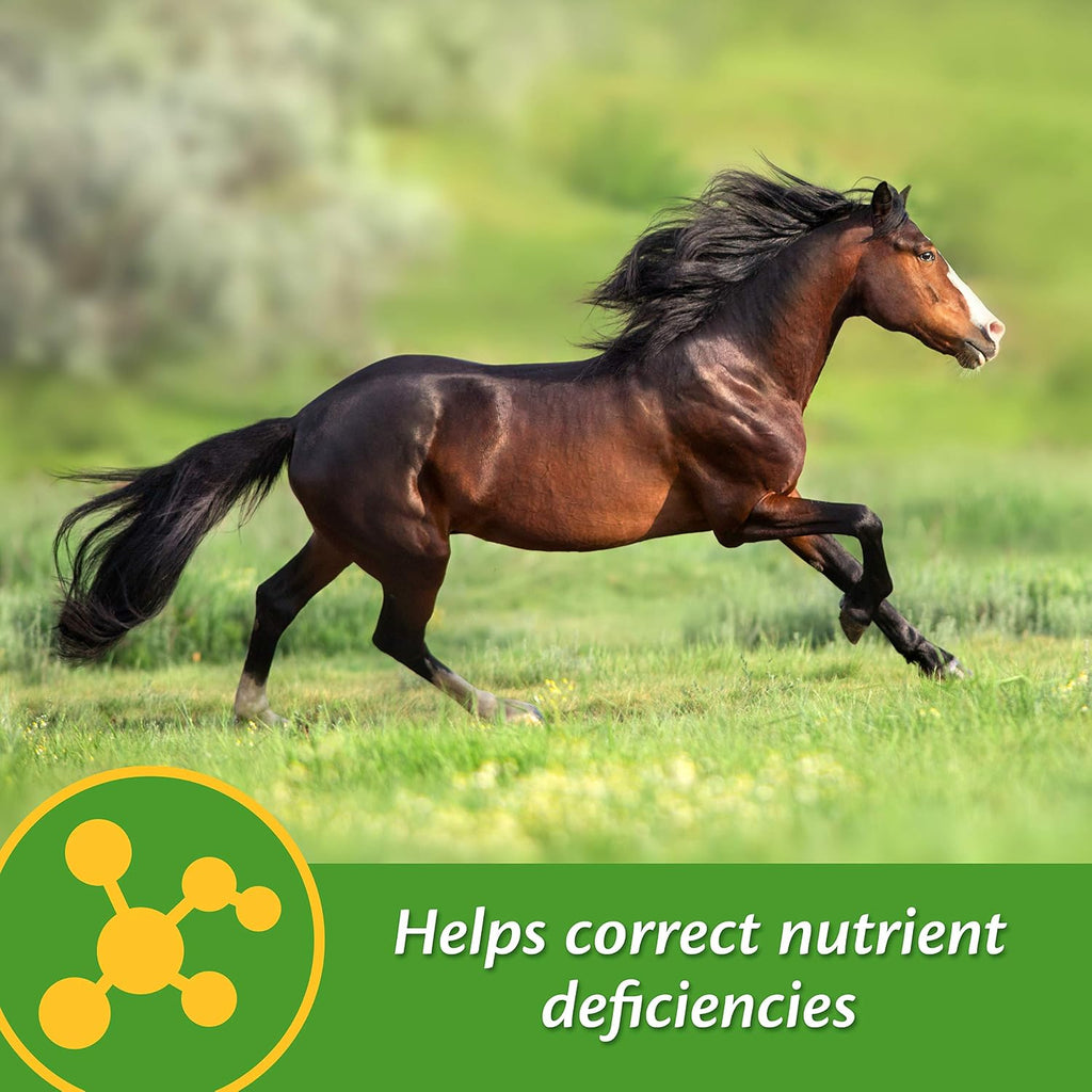 Vita-Min E & Selenium Antioxidant Supplement for Horses, Horse Vitamin E Supplement, Muscle Health and Peak