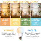 A19 LED Light Bulbs 2700K Soft White E26 Base 60 Watt Equivalent