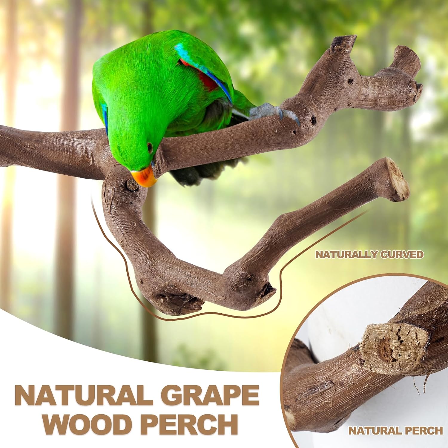 6-Piece Bird Perch Set - Natural Wood Grape Sticks, Paw Grinding Forks, Bird Stand & Toys for Parakeets, Cockatiels