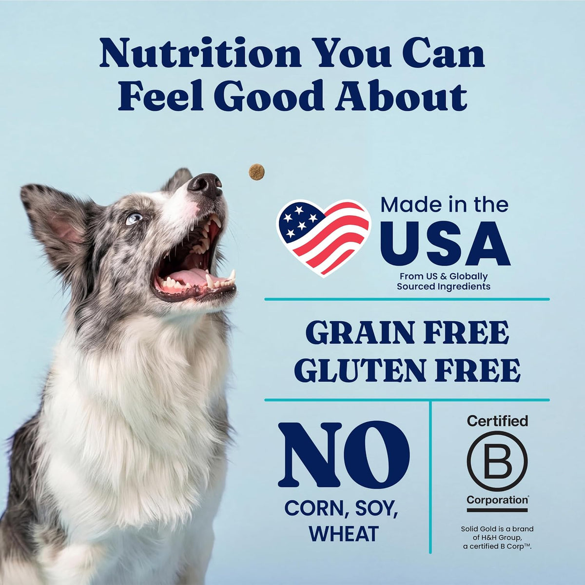 Salmon Dry Dog Food for Sensitive Stomach, Grain Free, 3.75LB