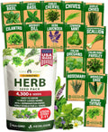 Herb Seeds for Planting 15-Pack Massive Seed Count 4,300+ Seeds Non-GMO Heirloom | Extra Large | Culinary Herb Kit