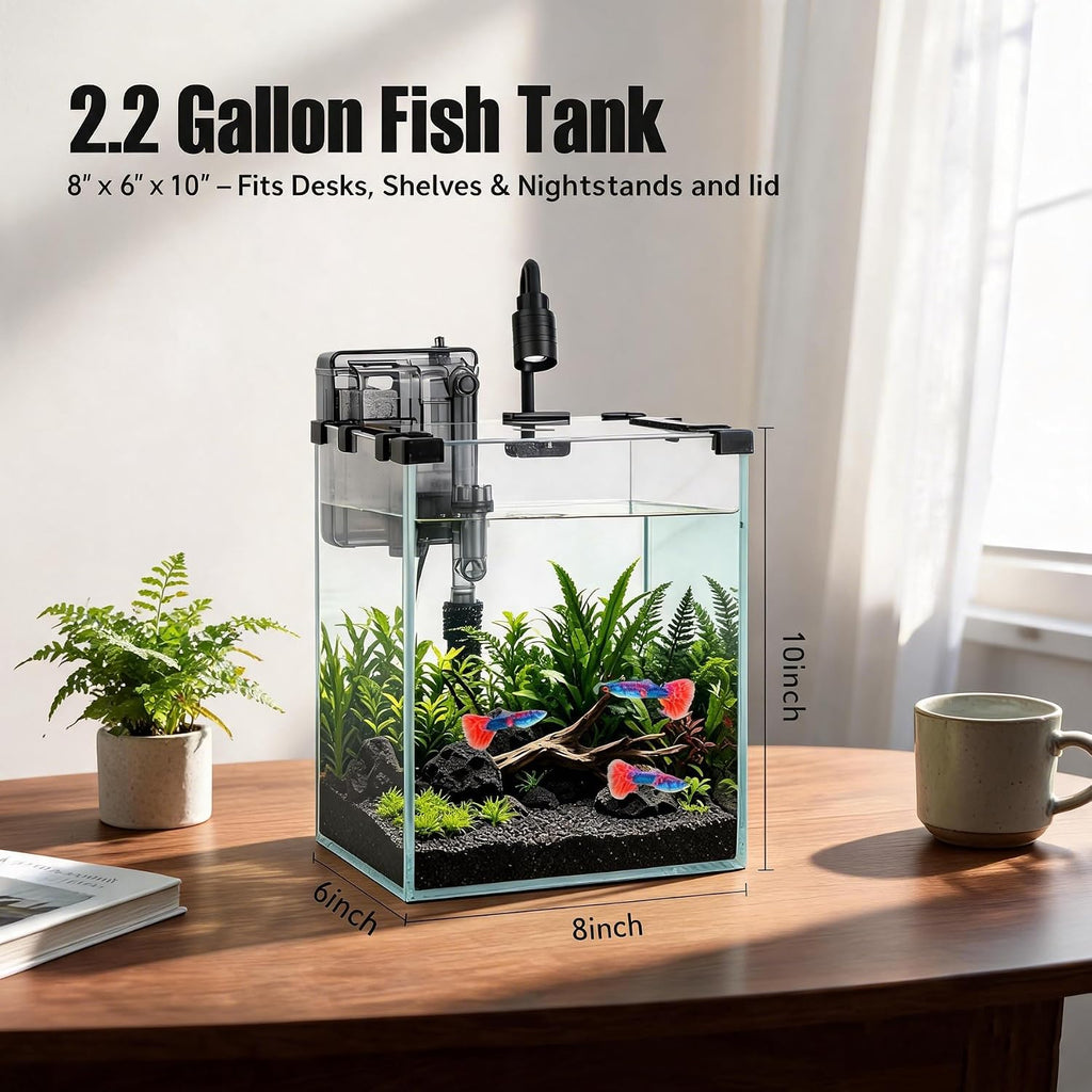 2.2 Gallon Small Glass Fish Tank Kit