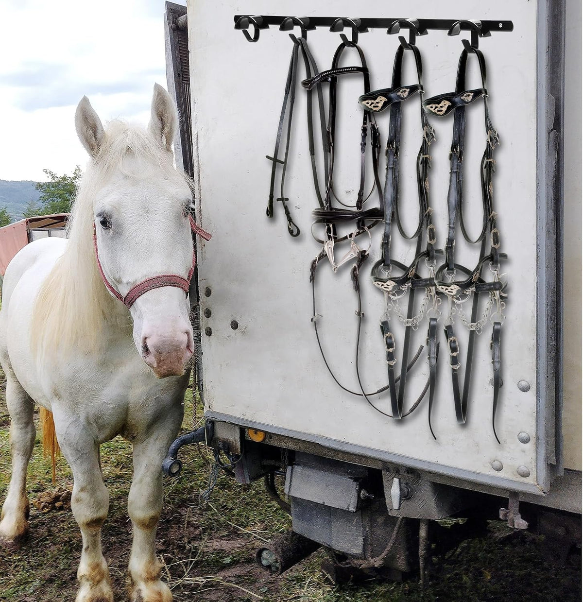 2 Pcs Bridle Rack for Horse Wall Mount, Horse Tack Bulk, Five Hooks
