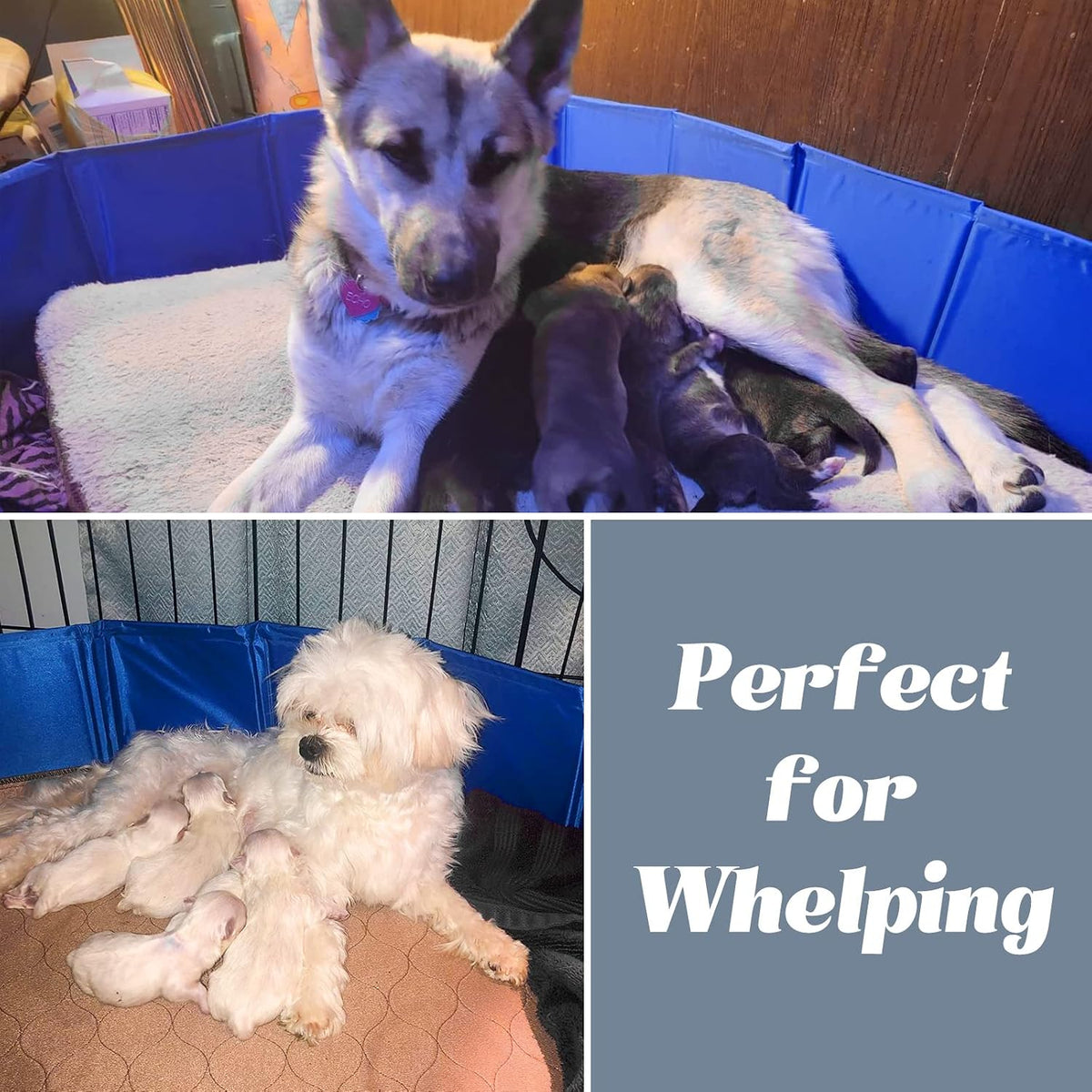 Foldable Whelping Box Dogs&Puppies, Easy Clean No Assembly Pool