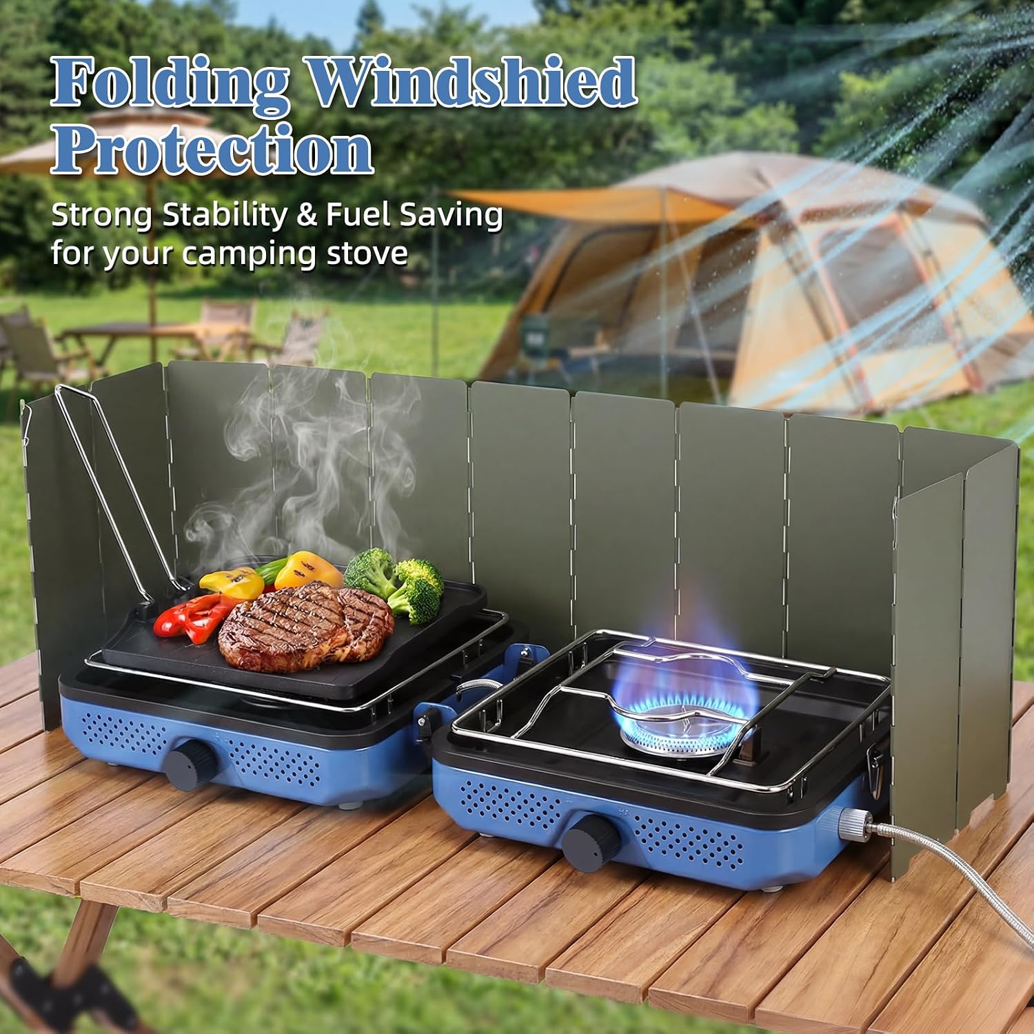 2 Burners Camping Stove with Windscreen for Camping,RV Essentials | 30,000 BTU Propane Camping Stove with Carry