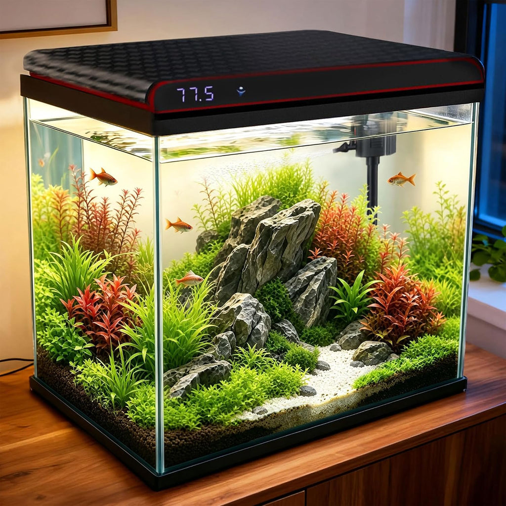 10 Gallon Glass Fish Tank, Aquarium Starter Kit, Kid Gift Ideas