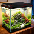10 Gallon Glass Fish Tank, Aquarium Starter Kit, Kid Gift Ideas