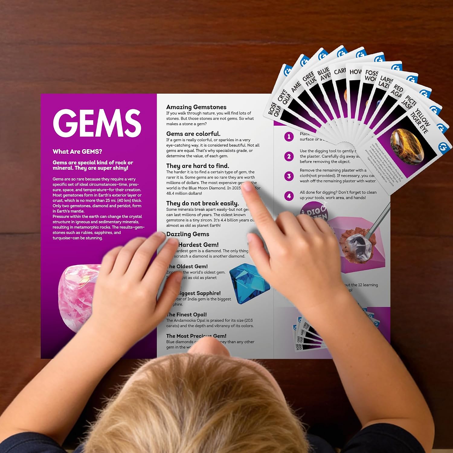 Gemstone Dig Kit, 12 Real Rocks & Minerals, Rock Digging Kit 6-12 | Gemstones & Minerals to Excavate, Complete