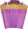 Paint Brushes Set, 30 Pcs Paint Brushes for Acrylic Painting, Watercolor Acrylic Oil Paint Brush, Artist Paintbrushes