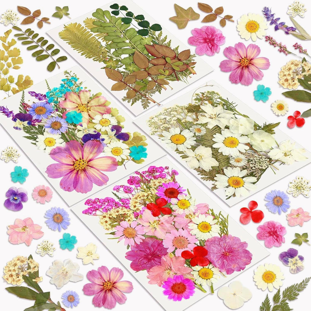 Dried Flowers, Resiners 100Pcs Pressed Flowers for Craft Purple Real Natural Dried Flowers Dry Leaves Kit for DIY