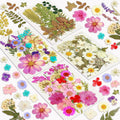 Dried Flowers, Resiners 100Pcs Pressed Flowers for Craft Purple Real Natural Dried Flowers Dry Leaves Kit for DIY